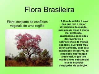 Flora Brasileira Flora: conjunto de espécies vegetais de uma região       A flora brasileira é uma das que tem a maior diversidade do mundo, mas apesar disso é muito mal explorada, ocasionando condições desfavoráveis à sobrevivência de muitas espécies, quer pelo mau gerenciamento, quer pela exploração excessiva, ou ainda pela degradação ambiental, o que tem levado a uma substancial lista de espécies ameaçadas de extinção.  