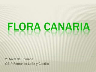 FLORA CANARIA

2º Nivel de Primaria
CEIP Fernando León y Castillo
 