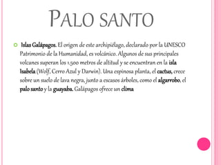 PALO SANTO 
 Islas Galápagos. El origen de este archipiélago, declarado por la UNESCO 
Patrimonio de la Humanidad, es volcánico. Algunos de sus principales 
volcanes superan los 1.500 metros de altitud y se encuentran en la isla 
Isabela (Wolf, Cerro Azul y Darwin). Una espinosa planta, el cactus, crece 
sobre un suelo de lava negra, junto a escasos árboles, como el algarrobo, el 
palo santo y la guayaba. Galápagos ofrece un clima 
 