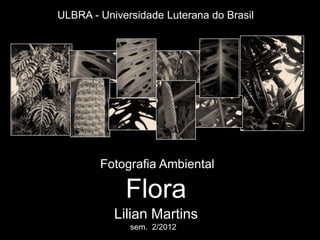 ULBRA - Universidade Luterana do Brasil




        Fotografia Ambiental

             Flora
           Lilian Martins
              sem. 2/2012
 