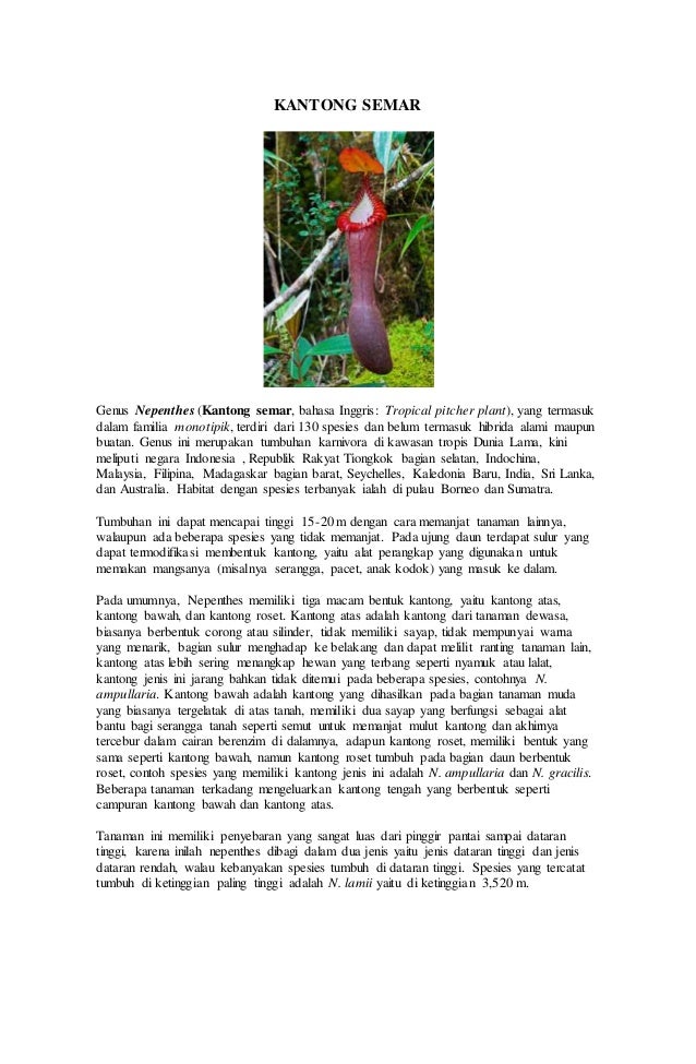 Jenis Flora Dan Fauna Di Inggris