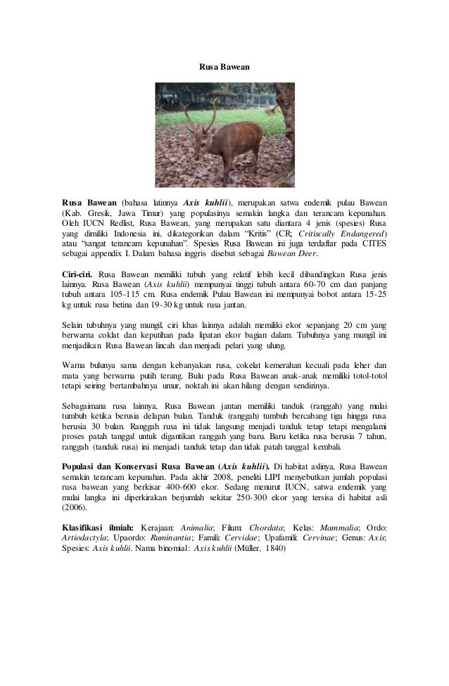 Flora Dan Fauna Di Inggris Dengan
