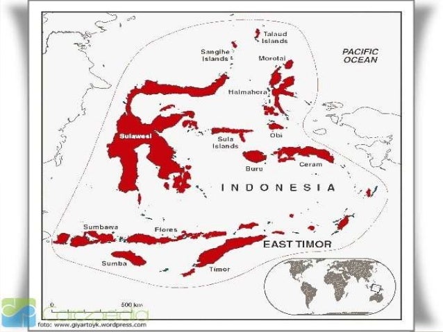 Peta Persebaran Flora dan Fauna di Indonesia  Bagian  Tengah 