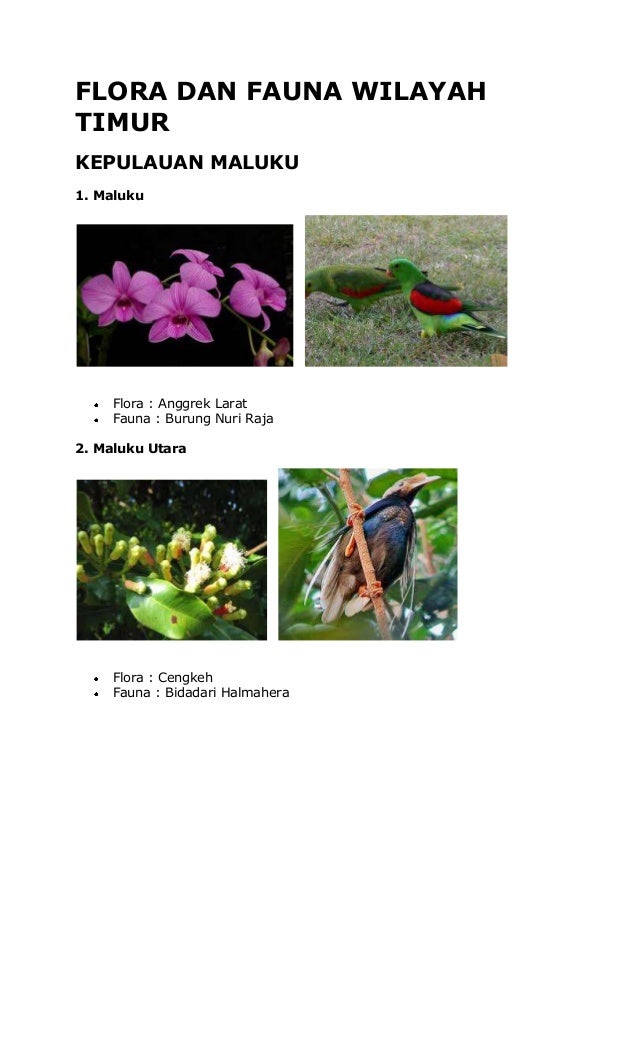 Flora Dan Fauna Wilayah Barat