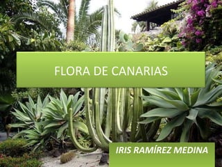 IRIS RAMÍREZ MEDINA FLORA DE CANARIAS 