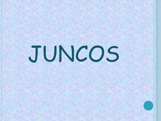 JUNCOS