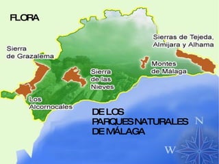 FLORA DE LOS PARQUES NATURALES DE MÁLAGA 