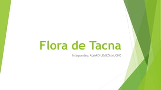 Flora de Tacna
Integrantes: ALVARO LOAYZA MUCHO
 