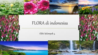 FLORA di indonesisa
Oleh: kelompok 4
 