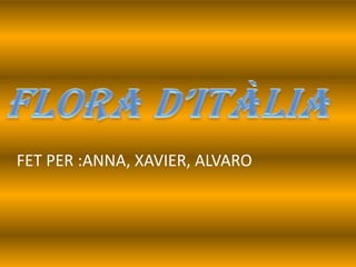 FLORA D’ITÀLIA FET PER :ANNA, XAVIER, ALVARO 