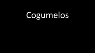 Cogumelos
 