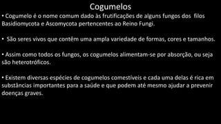 Cogumelos
• Cogumelo é o nome comum dado às frutificações de alguns fungos dos filos
Basidiomycota e Ascomycota pertencentes ao Reino Fungi.
• São seres vivos que contêm uma ampla variedade de formas, cores e tamanhos.
• Assim como todos os fungos, os cogumelos alimentam-se por absorção, ou seja
são heterotróficos.
• Existem diversas espécies de cogumelos comestíveis e cada uma delas é rica em
substâncias importantes para a saúde e que podem até mesmo ajudar a prevenir
doenças graves.
 