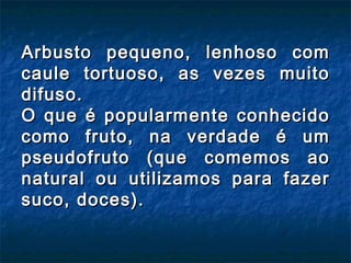 Arbusto pequeno, lenhoso com
caule tortuoso, as vezes muito
difuso.
O que é popularmente conhecido
como fruto, na verdade é um
pseudofruto (que comemos ao
natural ou utilizamos para fazer
suco, doces).
 