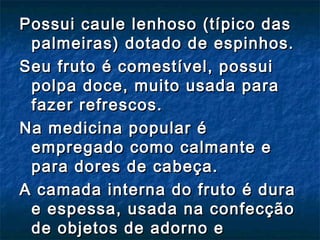 Possui caule lenhoso (típico das
 palmeiras) dotado de espinhos.
Seu fruto é comestível, possui
 polpa doce, muito usada para
 fazer refrescos.
Na medicina popular é
 empregado como calmante e
 para dores de cabeça.
A camada interna do fruto é dura
 e espessa, usada na confecção
 de objetos de adorno e
 