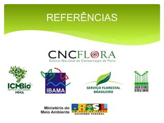 REFERÊNCIAS
 
