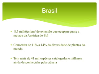  8,5 milhões km² de extensão que ocupam quase a
metade da América do Sul
 Concentra de 11% a 14% da diversidade de plantas do
mundo
 Tem mais de 41 mil espécies catalogadas e milhares
ainda desconhecidas pela ciência
Brasil
 