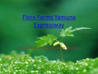 Flora Farms Yamuna
     Expressway


Beautifully Designed Farm House
 