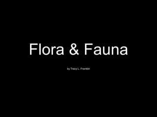 Flora & Fauna by Tracy L. Franklin 