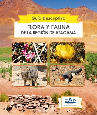 FLORA Y FAUNA
DE LA REGIÓN DE ATACAMA
Guía Descriptiva
 