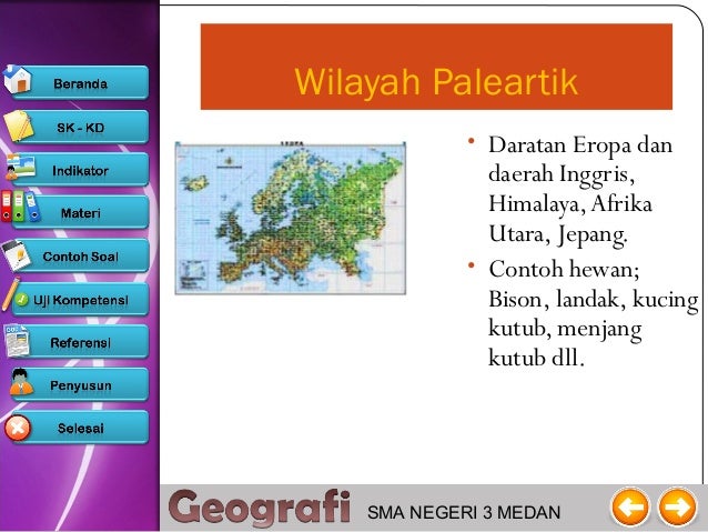 Download 880 Gambar Flora Paleartik Keren Gratis