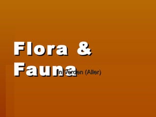 Flora &
Flor a
Fauna
   in Verden (Aller)
 