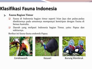 3. Fauna Bagian Timur
 Fauna di Indonesia bagian timur seperti Irian Jaya dan pulau-pulau
disekitarnya pada umumnya mempunyai kemiripan dengan Fauna di
benua Australia.
 Daerah yang meliputi Indonesia bagian Timur, yaitu: Papua dan
sekitarnya.
Berikut ini fauna-fauna endemik Papua.
Klasifikasi Fauna Indonesia
Cendrawasih Kasuari Burung Mambruk
 