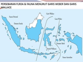 PERSEBARAN FLROA & FAUNA MENURUT GARIS WEBER DAN GARIS
WALLACE
 