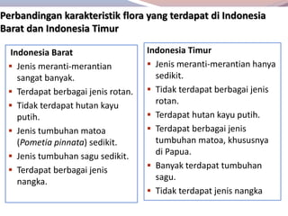 Perbandingan karakteristik flora yang terdapat di Indonesia
Barat dan Indonesia Timur
Indonesia Barat
 Jenis meranti-merantian
sangat banyak.
 Terdapat berbagai jenis rotan.
 Tidak terdapat hutan kayu
putih.
 Jenis tumbuhan matoa
(Pometia pinnata) sedikit.
 Jenis tumbuhan sagu sedikit.
 Terdapat berbagai jenis
nangka.
Indonesia Timur
 Jenis meranti-merantian hanya
sedikit.
 Tidak terdapat berbagai jenis
rotan.
 Terdapat hutan kayu putih.
 Terdapat berbagai jenis
tumbuhan matoa, khususnya
di Papua.
 Banyak terdapat tumbuhan
sagu.
 Tidak terdapat jenis nangka
 