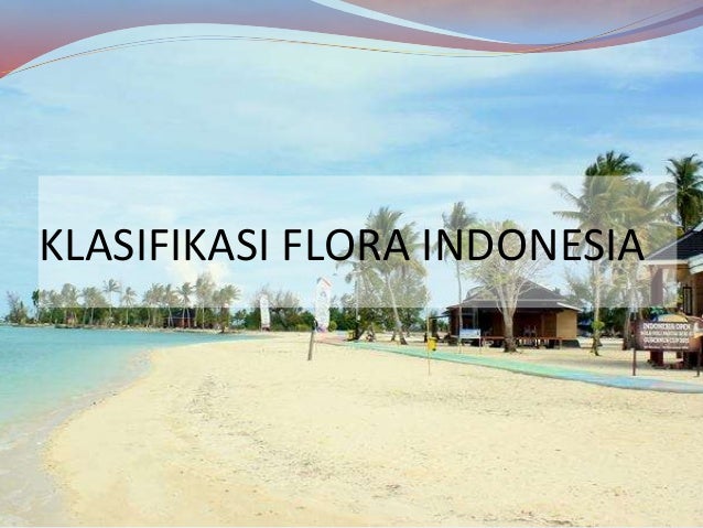 Flora Dan Fauna 60707666