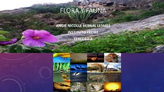 FLORA Y FAUNA
ANGIE NICOLLE BERNAL LESMES
INSTITUTO FREIRE
TERCERO A
 
