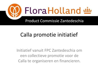 Product Commissie Zantedeschia


  Calla promotie initiatief

Initiatief vanuit FPC Zantedeschia om
  een collectieve promotie voor de
 Calla te organiseren en financieren.
 