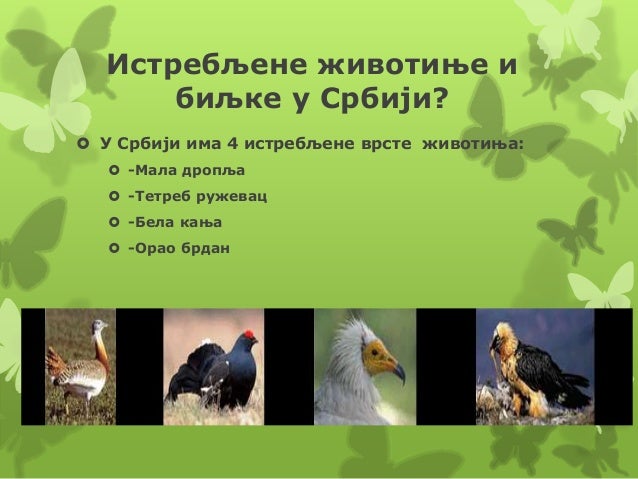 Флора и фауна Србије Миља Зец
