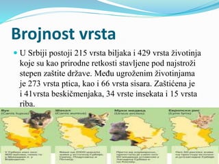 Brojnost vrsta
 U Srbiji postoji 215 vrsta biljaka i 429 vrsta životinja
koje su kao prirodne retkosti stavljene pod najs...