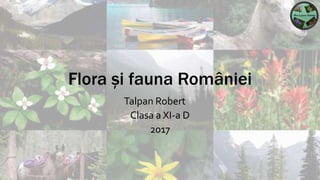 Flora și fauna României
Talpan Robert
Clasa a XI-a D
2017
 