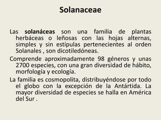 Solanaceae
Las solanáceas son una familia de plantas
herbáceas o leñosas con las hojas alternas,
simples y sin estípulas pertenecientes al orden
Solanales , son dicotiledóneas.
Comprende aproximadamente 98 géneros y unas
2700 especies, con una gran diversidad de hábito,
morfología y ecología.
La familia es cosmopolita, distribuyéndose por todo
el globo con la excepción de la Antártida. La
mayor diversidad de especies se halla en América
del Sur .
 