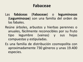 Fabaceae
Las fabáceas (Fabaceae) o leguminosas
(Leguminosae) son una familia del orden de
las fabales.
Reúne árboles, arbustos y hierbas perennes o
anuales, fácilmente reconocibles por su fruto
tipo legumbre (vainas) y sus hojas
compuestas y estipuladas.
Es una familia de distribución cosmopolita con
aproximadamente 730 géneros y unas 19.400
especies.
 