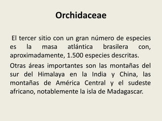 Orchidaceae
El tercer sitio con un gran número de especies
es la masa atlántica brasilera con,
aproximadamente, 1.500 especies descritas.
Otras áreas importantes son las montañas del
sur del Himalaya en la India y China, las
montañas de América Central y el sudeste
africano, notablemente la isla de Madagascar.
 