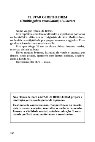 29. STAR OF BETHLEHEM
(Ornithogalum umbellatum) (Liliaceae)
Nome vulgar: Estrela-de-Belém.
Tem espécimes similares cultivados e espalhados por todos
os hemisférios. Afirmam ser originária da área Mediterrânea,
conhecida na antigüidade por gregos, romanos e egípcios. É ve-
getal relacionado com a cebola e o alho.
Erva que atinge 30 cm de altura, folhas lineares, verdes,
estreitas, de raiz bulbosa.
Flores miúdas brancas, listradas de verde e brancas por
dentro, cinco pétalas, aparecem com hastes isoladas, desabro-
cham à luz do sol.
Florescem entre abril — maio.
Nos Florais de Bach a STAR OF BETHLEHEM prepara a
renovação, orienta o despertar da esperança.
É estimulante contra traumas, choques físicos ou emocio-
nais, tristezas, emoções, neutraliza o medo, a depressão.
Provoca a vitalidade mental, autodeterminação. É consi-
derada por Bach como confortadora e amenizadora.
106
 