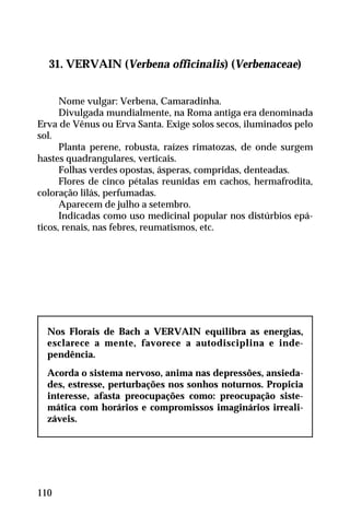 31. VERVAIN (Verbena officinalis) (Verbenaceae)
Nome vulgar: Verbena, Camaradinha.
Divulgada mundialmente, na Roma antiga era denominada
Erva de Vênus ou Erva Santa. Exige solos secos, iluminados pelo
sol.
Planta perene, robusta, raízes rimatozas, de onde surgem
hastes quadrangulares, verticais.
Folhas verdes opostas, ásperas, compridas, denteadas.
Flores de cinco pétalas reunidas em cachos, hermafrodita,
coloração lilás, perfumadas.
Aparecem de julho a setembro.
Indicadas como uso medicinal popular nos distúrbios epá-
ticos, renais, nas febres, reumatismos, etc.
Nos Florais de Bach a VERVAIN equilibra as energias,
esclarece a mente, favorece a autodisciplina e inde-
pendência.
Acorda o sistema nervoso, anima nas depressões, ansieda-
des, estresse, perturbações nos sonhos noturnos. Propicia
interesse, afasta preocupações como: preocupação siste-
mática com horários e compromissos imaginários irreali-
záveis.
110
 