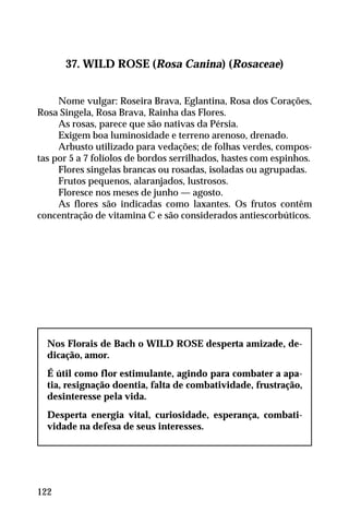 37. WILD ROSE (Rosa Canina) (Rosaceae)
Nome vulgar: Roseira Brava, Eglantina, Rosa dos Corações,
Rosa Singela, Rosa Brava, Rainha das Flores.
As rosas, parece que são nativas da Pérsia.
Exigem boa luminosidade e terreno arenoso, drenado.
Arbusto utilizado para vedações; de folhas verdes, compos-
tas por 5 a 7 folíolos de bordos serrilhados, hastes com espinhos.
Flores singelas brancas ou rosadas, isoladas ou agrupadas.
Frutos pequenos, alaranjados, lustrosos.
Floresce nos meses de junho — agosto.
As flores são indicadas como laxantes. Os frutos contêm
concentração de vitamina C e são considerados antiescorbúticos.
Nos Florais de Bach o WILD ROSE desperta amizade, de-
dicação, amor.
É útil como flor estimulante, agindo para combater a apa-
tia, resignação doentia, falta de combatividade, frustração,
desinteresse pela vida.
Desperta energia vital, curiosidade, esperança, combati-
vidade na defesa de seus interesses.
122
 