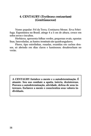 4. CENTAURY (Trythraea centaurium)
(Genitianaceae)
Nome popular: Fel da Terra, Centáurea Menor, Erva Febrí-
fuga. Espontânea no Brasil, atinge 4 a 5 cm de altura, cresce em
solos secos e incultos.
Herbácea, apresenta folhas verdes, pequenas ovais, opostas
lisas, lanceoladas, as hastes terminais são quadrangulares.
Flores, tipo estrelinhas, rosadas, reunidas em cachos den-
sos, só abrindo em dias claros e luminosos; desabrocham no
verão.
A CENTAURY fortalece a mente e a autodeterminação. É
atuante. Seu uso combate a apatia, inércia, desinteresse.
Provoca a autodeterminação, atividade, defesa de seus in-
teresses. Esclarece a mente e conscientiza seus valores in-
dividuais.
56
 