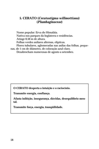 5. CERATO (Ceratostigma willmottiana)
(Plumbaginaceae)
Nome popular: Erva do Himaláia.
Nativa nos parques da Inglaterra e residências.
Atinge 0,50 m de altura.
Folhas verdes axilares alternas, elípticas.
Flores tubulares, aglomeradas nas axilas das folhas, peque-
nas, de 1 cm de diâmetro, de coloração azul-claro.
Desabrocham numerosas de agosto a setembro.
O CERATO desperta a intuição e o raciocínio.
Transmite energia, confiança.
Afasta inibição, insegurança, dúvidas, desequilíbrio men-
tal.
Transmite força, energia, tranqüilidade.
58
 