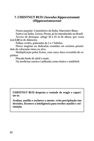 7. CHESTNUT BUD (Aesculus hippocastanum)
(Hippocastaneaceae)
Nome popular: Castanheiro da Índia, Marronier Blanc.
Nativo na Índia, Grécia, Pérsia, já foi introduzido no Brasil.
Árvore de destaque, atinge 10 a 25 m de altura, por vezes
tem 0,80 m de diâmetro.
Folhas verdes, palmadas de 5 a 7 folíolos.
Flores singelas ou dobradas reunidas em racimos pirami-
dais de coloração rósea ou alva.
Multiplicação pelos frutos, com casca dura revestida de es-
pinhos.
Florada linda de abril a maio.
Na medicina caseira é utilizada como tônico e antifebril.
CHESTNUT BUD desperta a vontade de reagir e capaci-
tar-se.
Acalma, auxilia e esclarece a mente, evita precipitação nas
decisões, favorece a inteligência para receber auxílio e ori-
entação.
62
 