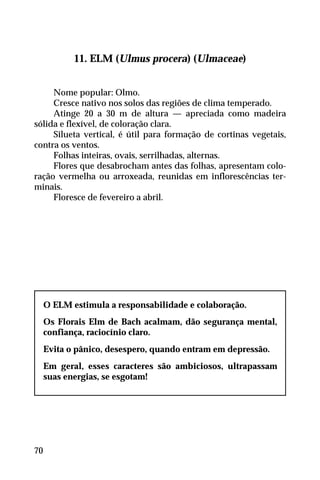 11. ELM (Ulmus procera) (Ulmaceae)
Nome popular: Olmo.
Cresce nativo nos solos das regiões de clima temperado.
Atinge 20 a 30 m de altura — apreciada como madeira
sólida e flexível, de coloração clara.
Silueta vertical, é útil para formação de cortinas vegetais,
contra os ventos.
Folhas inteiras, ovais, serrilhadas, alternas.
Flores que desabrocham antes das folhas, apresentam colo-
ração vermelha ou arroxeada, reunidas em inflorescências ter-
minais.
Floresce de fevereiro a abril.
O ELM estimula a responsabilidade e colaboração.
Os Florais Elm de Bach acalmam, dão segurança mental,
confiança, raciocínio claro.
Evita o pânico, desespero, quando entram em depressão.
Em geral, esses caracteres são ambiciosos, ultrapassam
suas energias, se esgotam!
70
 