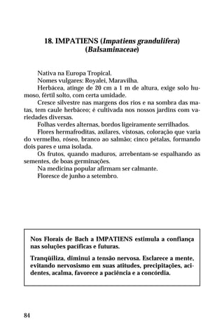 18. IMPATIENS (Impatiens grandulifera)
(Balsaminaceae)
Nativa na Europa Tropical.
Nomes vulgares: Royalei, Maravilha.
Herbácea, atinge de 20 cm a 1 m de altura, exige solo hu-
moso, fértil solto, com certa umidade.
Cresce silvestre nas margens dos rios e na sombra das ma-
tas, tem caule herbáceo; é cultivada nos nossos jardins com va-
riedades diversas.
Folhas verdes alternas, bordos ligeiramente serrilhados.
Flores hermafroditas, axilares, vistosas, coloração que varia
do vermelho, róseo, branco ao salmão; cinco pétalas, formando
dois pares e uma isolada.
Os frutos, quando maduros, arrebentam-se espalhando as
sementes, de boas germinações.
Na medicina popular afirmam ser calmante.
Floresce de junho a setembro.
Nos Florais de Bach a IMPATIENS estimula a confiança
nas soluções pacíficas e futuras.
Tranqüiliza, diminui a tensão nervosa. Esclarece a mente,
evitando nervosismo em suas atitudes, precipitações, aci-
dentes, acalma, favorece a paciência e a concórdia.
84
 