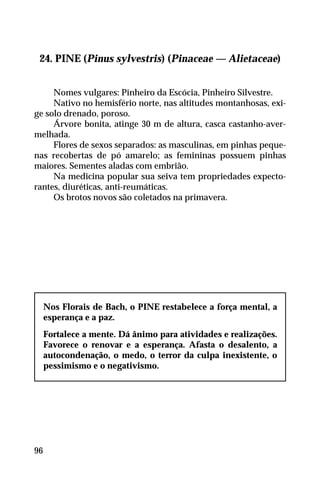 24. PINE (Pinus sylvestris) (Pinaceae — Alietaceae)
Nomes vulgares: Pinheiro da Escócia, Pinheiro Silvestre.
Nativo no hemisfério norte, nas altitudes montanhosas, exi-
ge solo drenado, poroso.
Árvore bonita, atinge 30 m de altura, casca castanho-aver-
melhada.
Flores de sexos separados: as masculinas, em pinhas peque-
nas recobertas de pó amarelo; as femininas possuem pinhas
maiores. Sementes aladas com embrião.
Na medicina popular sua seiva tem propriedades expecto-
rantes, diuréticas, anti-reumáticas.
Os brotos novos são coletados na primavera.
Nos Florais de Bach, o PINE restabelece a força mental, a
esperança e a paz.
Fortalece a mente. Dá ânimo para atividades e realizações.
Favorece o renovar e a esperança. Afasta o desalento, a
autocondenação, o medo, o terror da culpa inexistente, o
pessimismo e o negativismo.
96
 