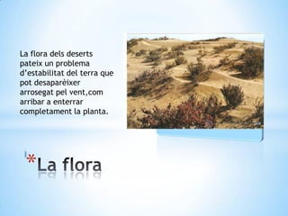 *
La flora dels deserts
pateix un problema
d’estabilitat del terra que
pot desaparèixer
arrosegat pel vent,com
arribar a enterrar
completament la planta.
 