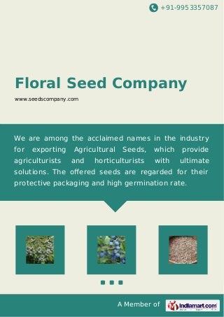 +91-9953357087

Floral Seed Company
www.seedscompany.com

We are among the acclaimed names in the industry
for

exporting

agriculturists

Agricultural
and

Seeds,

horticulturists

which
with

provide
ultimate

solutions. The oﬀered seeds are regarded for their
protective packaging and high germination rate.

A Member of

 