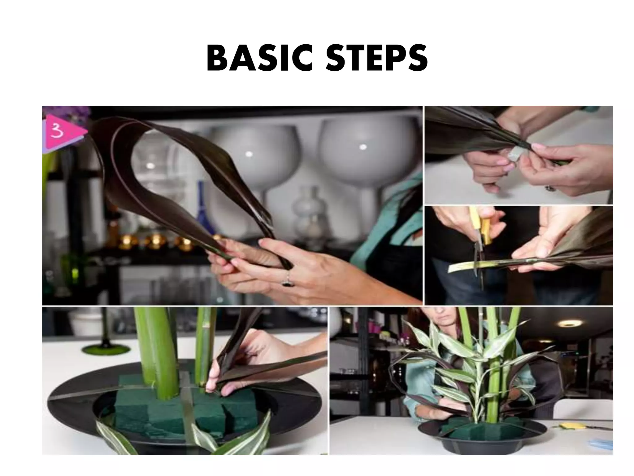 BASIC STEPS
