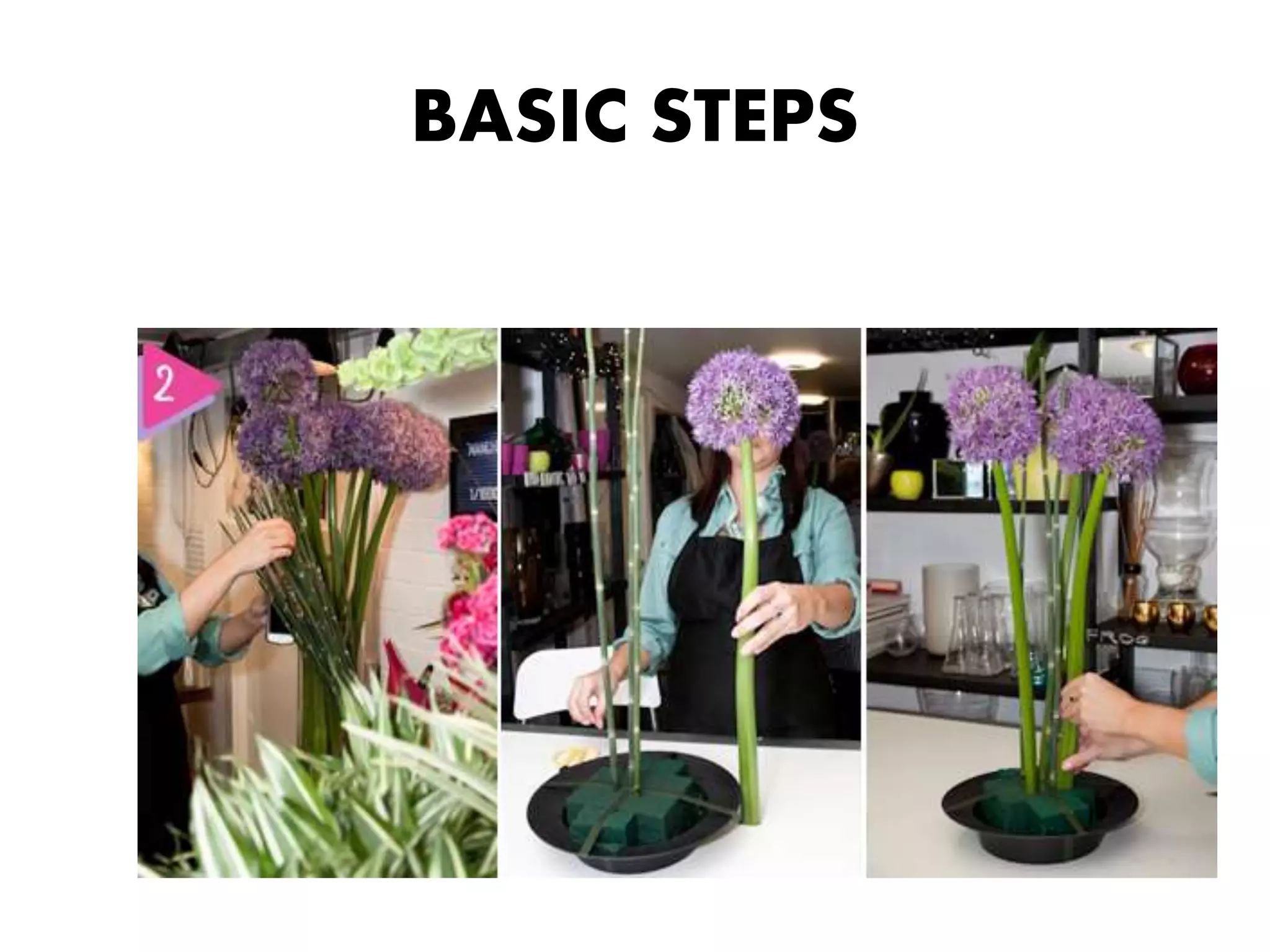BASIC STEPS